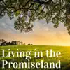 Fort Worth Musicians Choir - Living in the Promiseland - Single